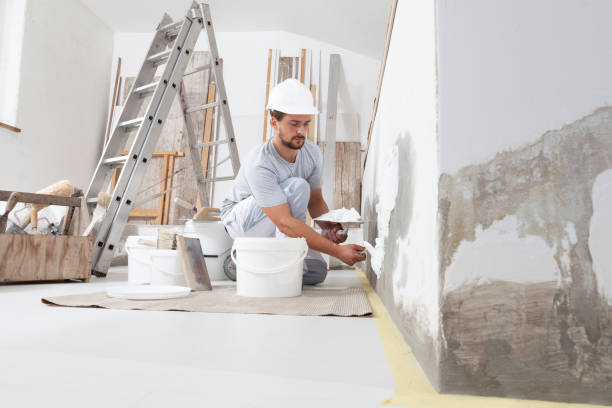 Best Eco-Friendly and Low-VOC Painting  in Hilltop, MN